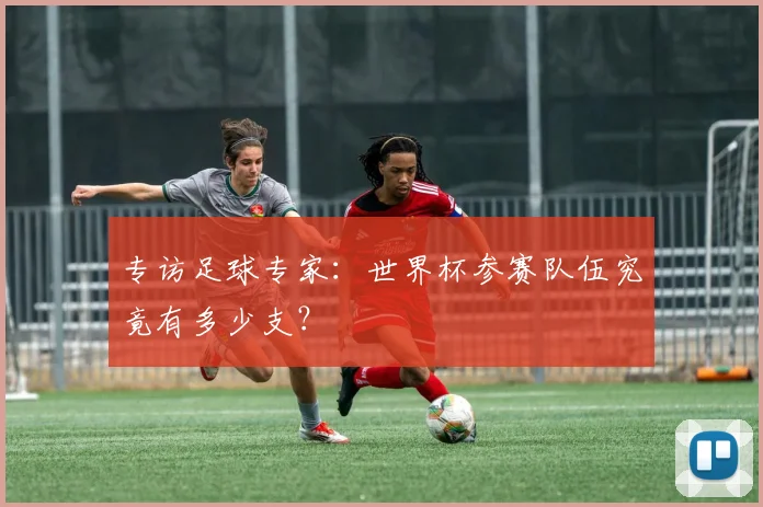 专访足球专家:世界杯参赛队伍究竟有多少支?