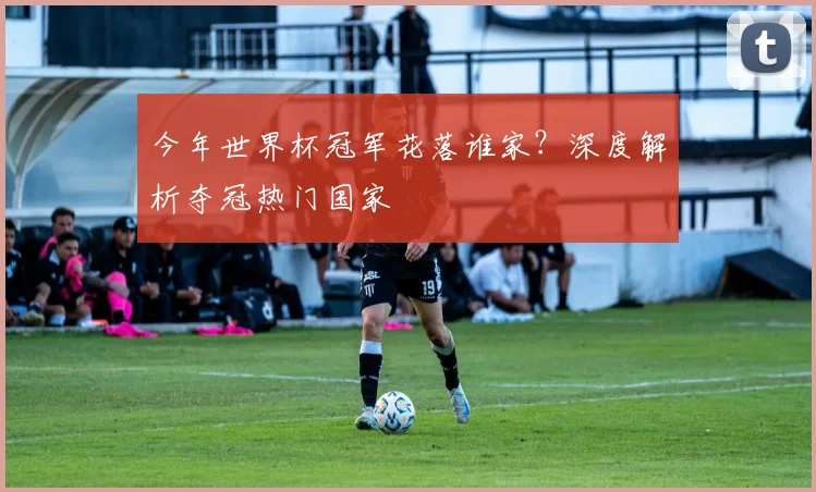 今年世界杯冠军花落谁家？深度解析夺冠热门国家