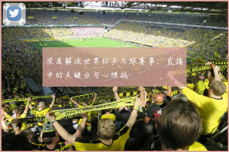 深度解读世界杯乒乓球赛事:直播中的关键分与心理战