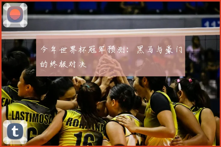 今年世界杯冠军预测：黑马与豪门的终极对决