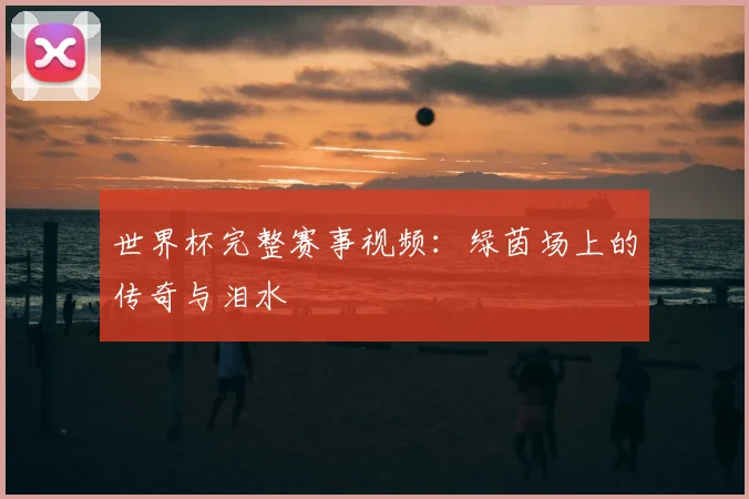 世界杯完整赛事视频:绿茵场上的传奇与泪水