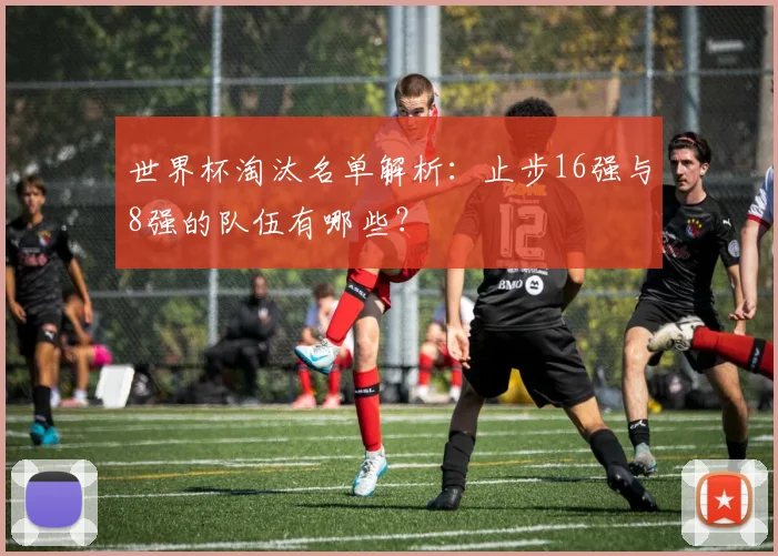 世界杯淘汰名单解析：止步16强与8强的队伍有哪些？
